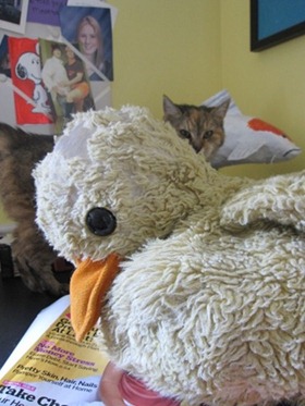 Ducky