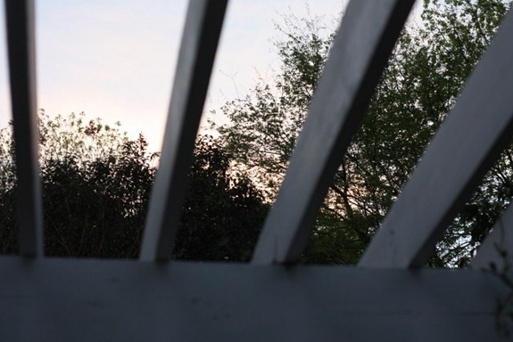 IMG_0021 (640x427)