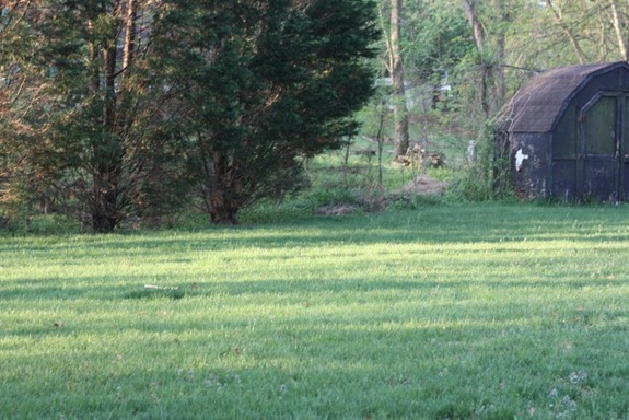 IMG_9718 (640x427)