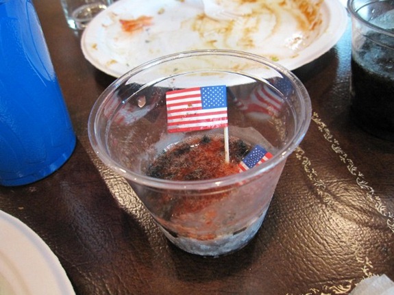 IMG_0010 (640x480) (2)
