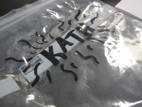 IMG_0218 (640x480)