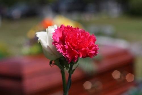 IMG_2597 (640x427)