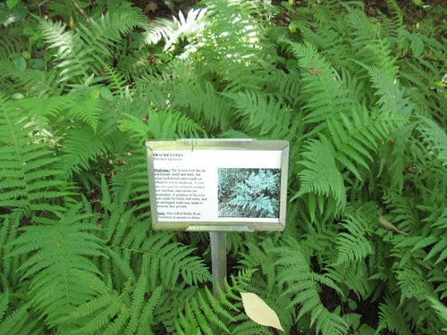 IMG_0061 (640x480) (2)