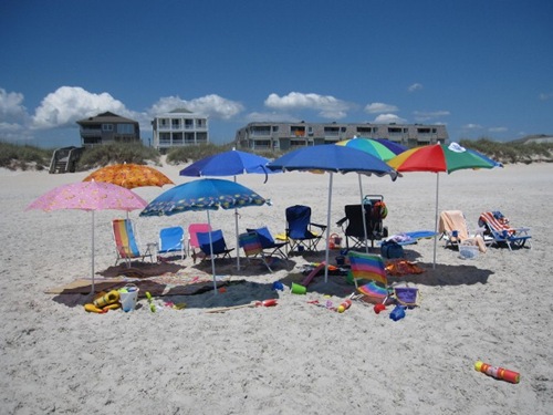 IMG_0118 (640x480)