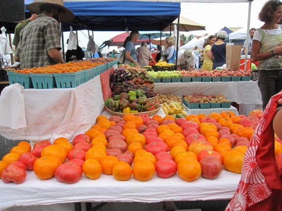 IMG_0245 (640x480)