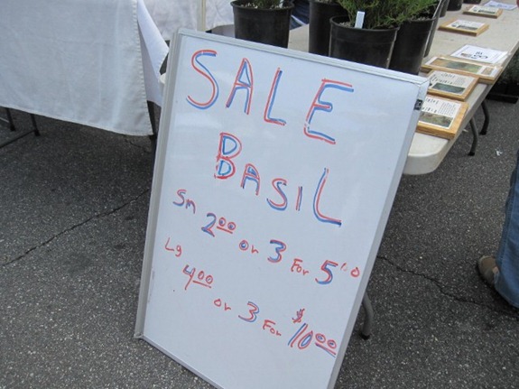 IMG_0255 (640x480) (2)