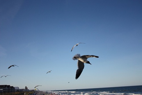 IMG_6228 (640x427)