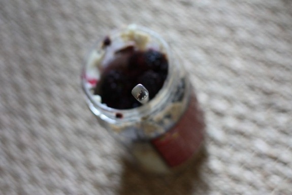 IMG_8220 (640x427)