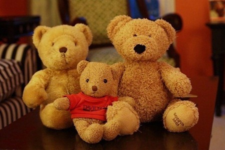 IMG_0032640x427_thumb_thumb[1]