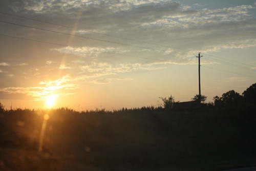 IMG_0290 (640x427)