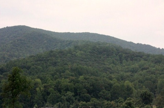 IMG_0900 (640x427)