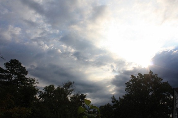 IMG_1495 (640x427) (2)