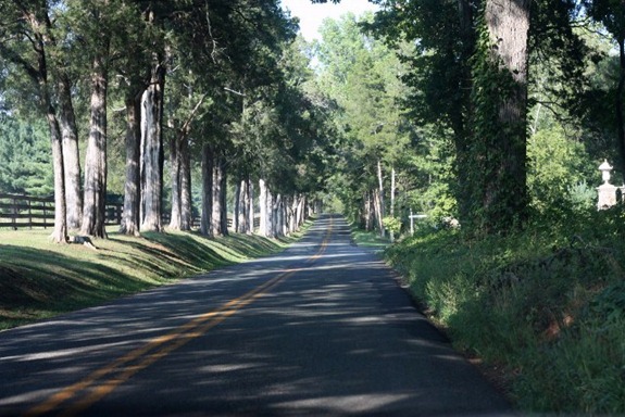 IMG_1806 (640x427) (2)