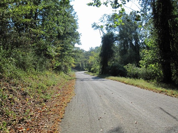 IMG_0710 (640x480)