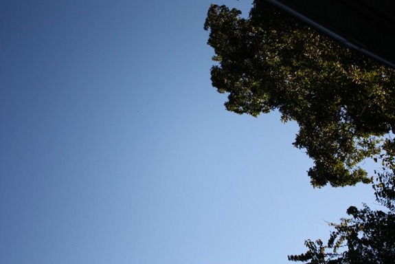 IMG_2456 (640x427) (2)