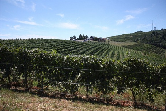 IMG_2504 (640x427) (2)