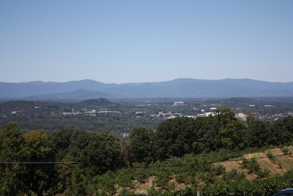 IMG_2505 (640x427) (2)