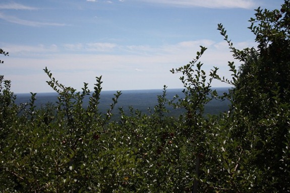 IMG_2522 (640x427) (2)