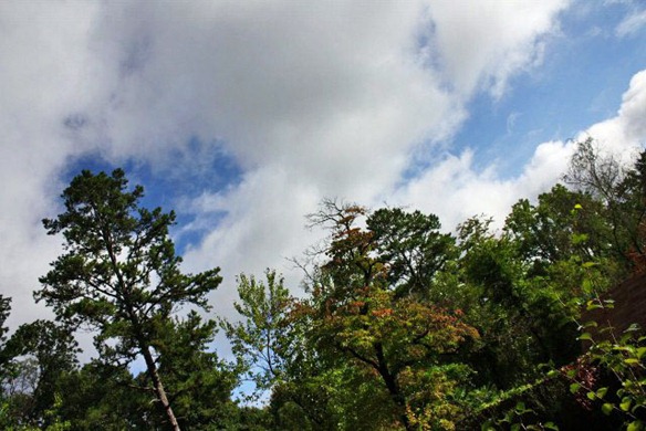 IMG_5120 (640x427)_edited-1