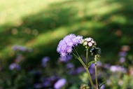 IMG_9127