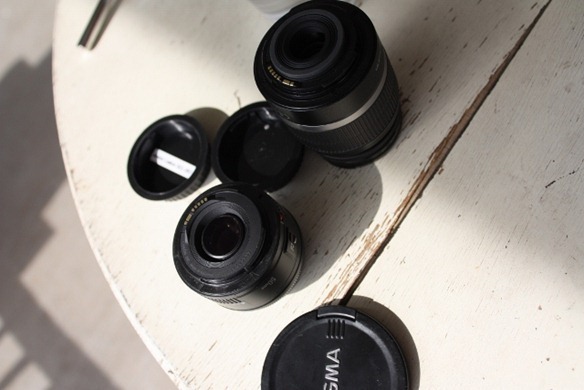 Sigma (2) (640x427)
