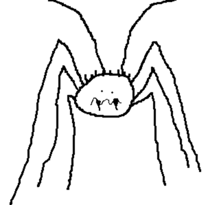 Camelcricket