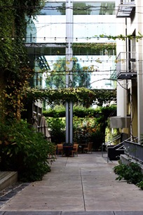 IMG_0424
