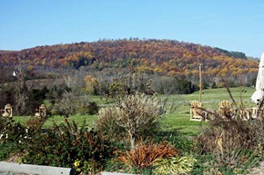 IMG_1660