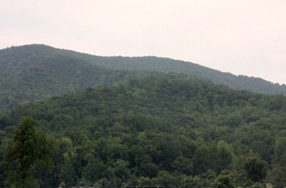 IMG_0900 (640x427)