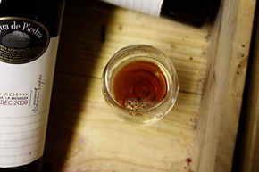 IMG_4898Blog