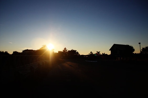 IMG_6330Blog