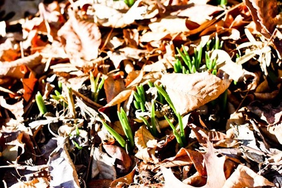 BLOG-0014
