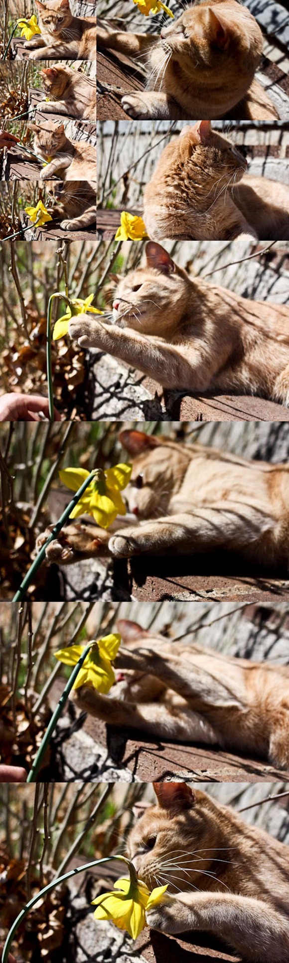 BLOG UPLOAD8