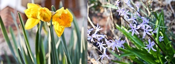 FlowasBlog