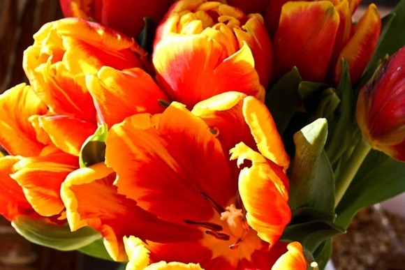 IMG_3056Blog