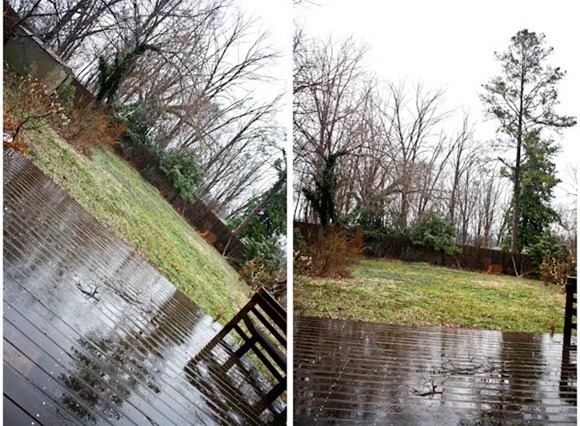 RainBlog
