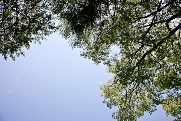 IMG_8103Blog