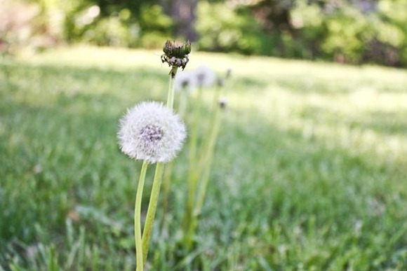 IMG_8108Blog
