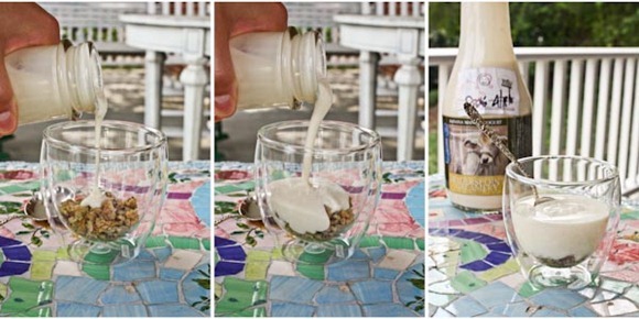 YogurtBlog