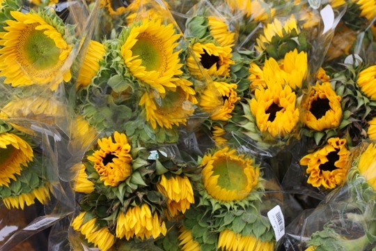 IMG_0898 (640x427)