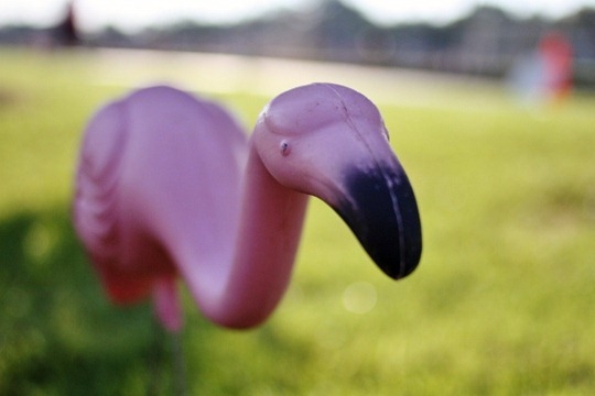 IMG_2019 (640x427)