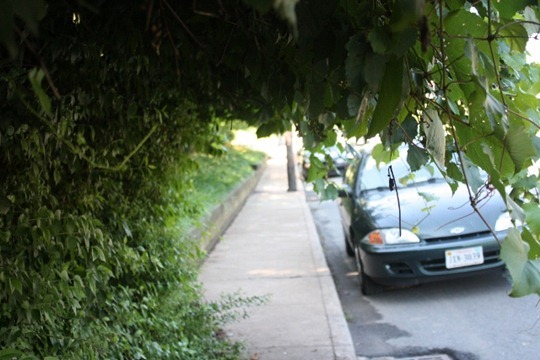 IMG_2276 (640x427)