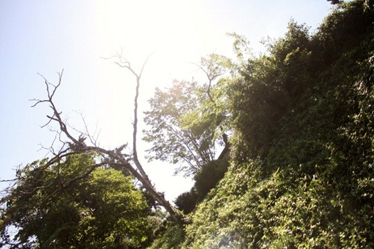 IMG_2283 (640x427)