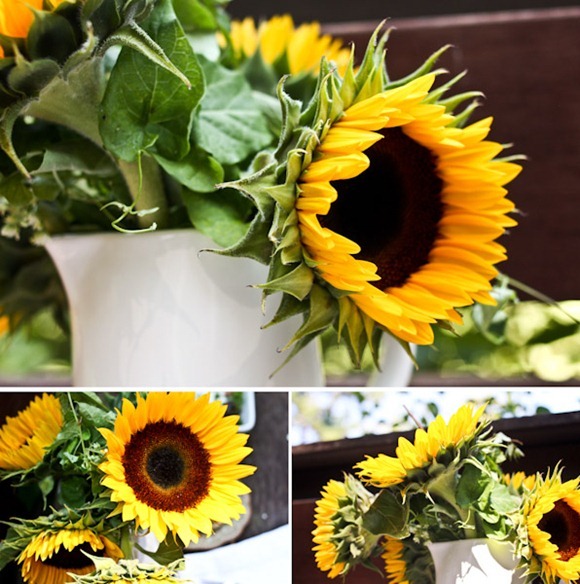 sunflowersBlog