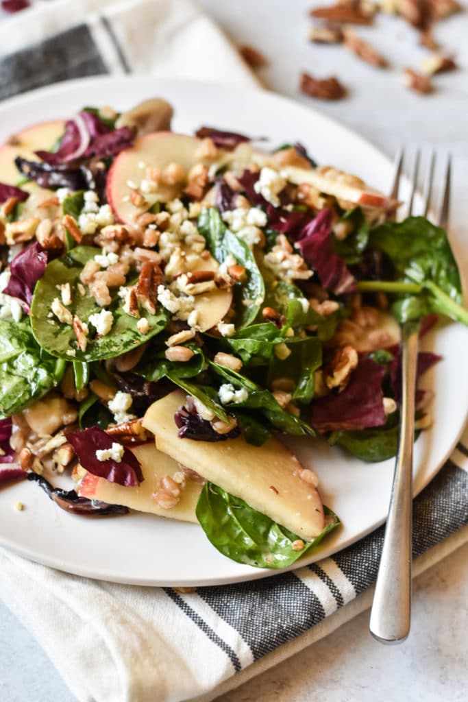 radicchio wheatberry salad on a plate with fork