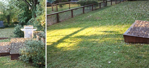 FallmorningBlog
