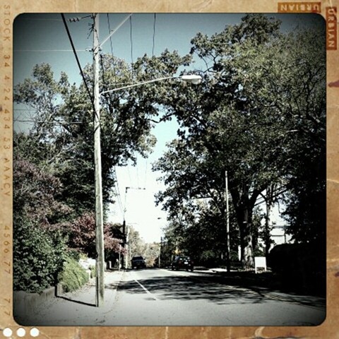 Park