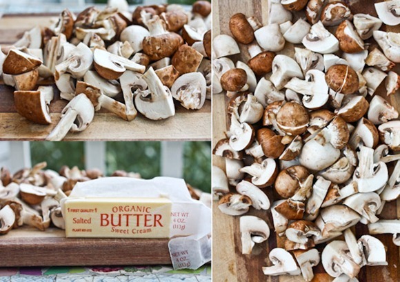 shroomsBlog