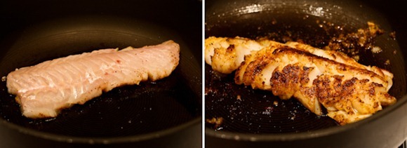 FishBlog