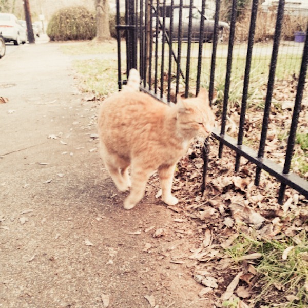 tmp_share (1)-7Blog